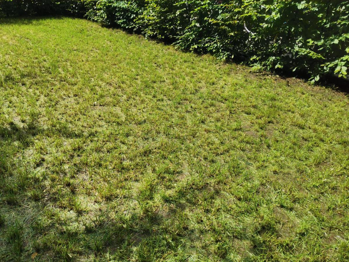 Apartment Near Fair And Central City In Few Min, With Garden Frankfurt am Main Exterior foto